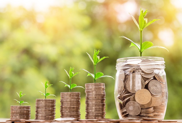 Improve Net Earnings through Outsourcing Costly and Routine Functions Improve Net Earnings through Outsourcing Costly and Routine Functions